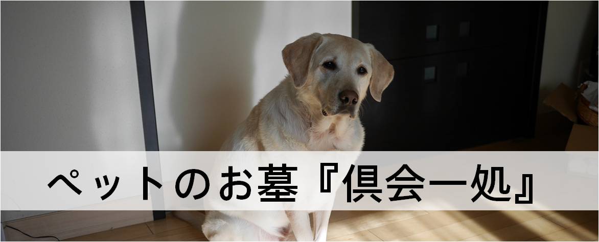 ペット墓のご案内