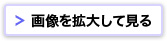 画像を拡大して見る